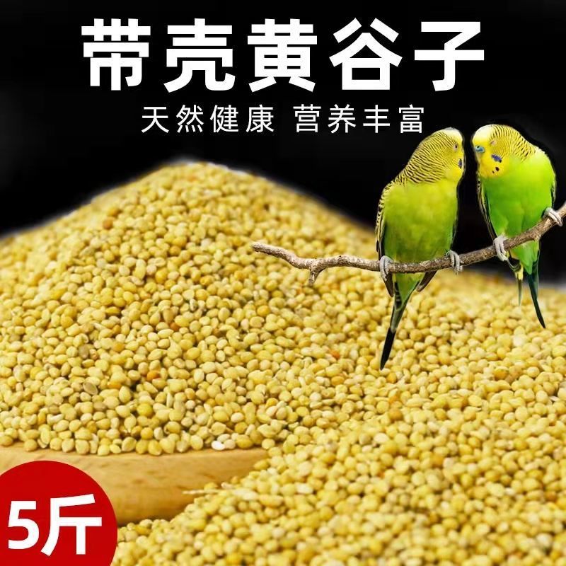 750b0e86-519e-4948-9f2a-6ce3b6bcfaf4.jpe
