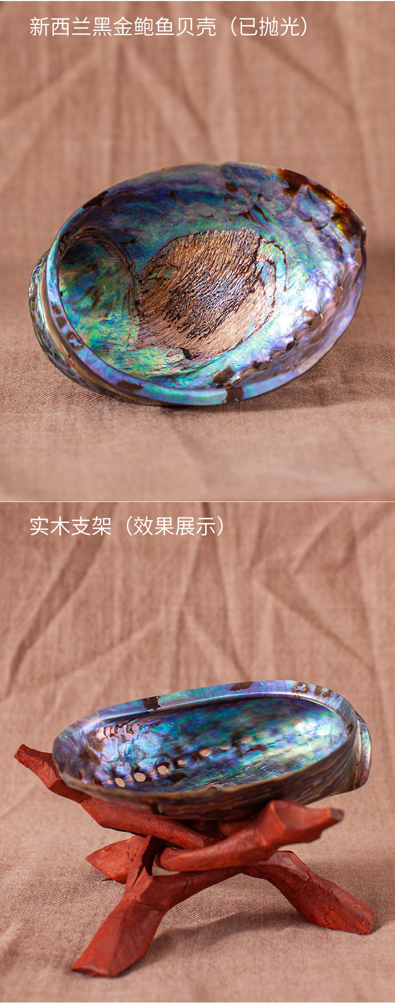 鼠尾草综合详情 (12).jpg