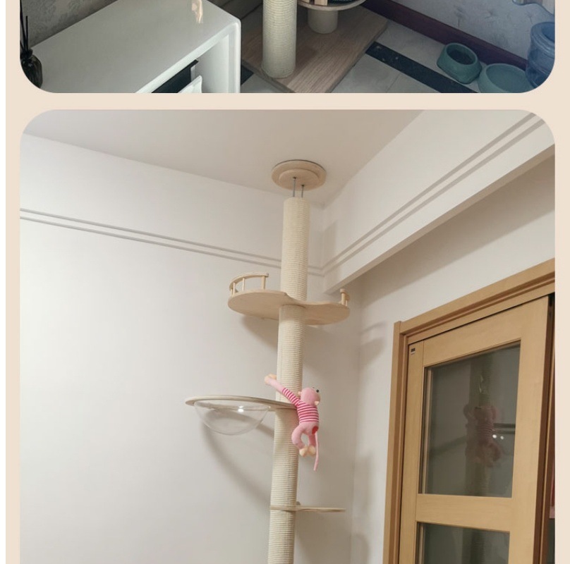 160a055a-0e09-4572-ab8c-48c4d5afd582.jpe