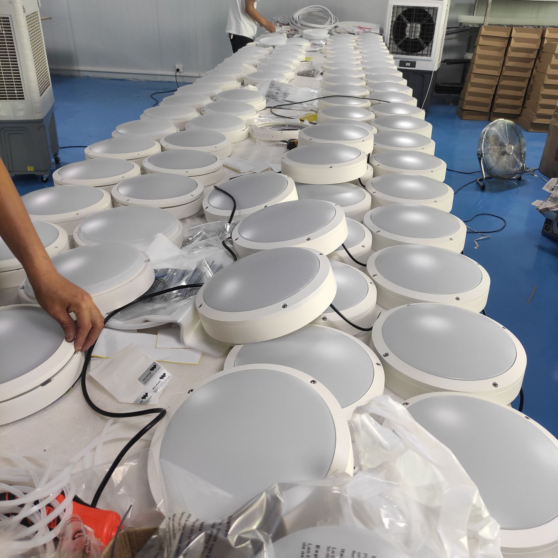 微信图片_20241223132128