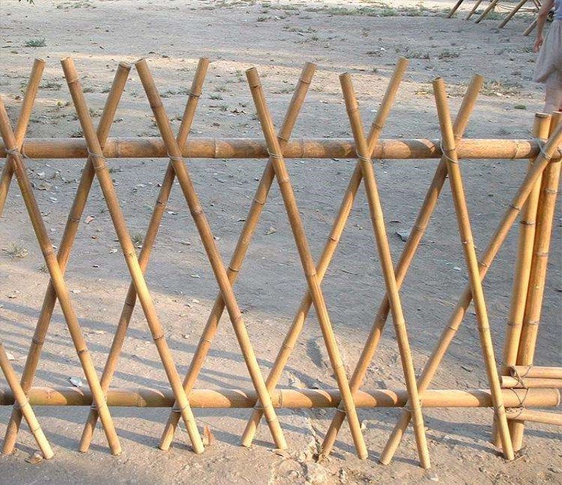 b3ea50bc-b9e7-420f-9d78-a3b095cd3eb5.jpe