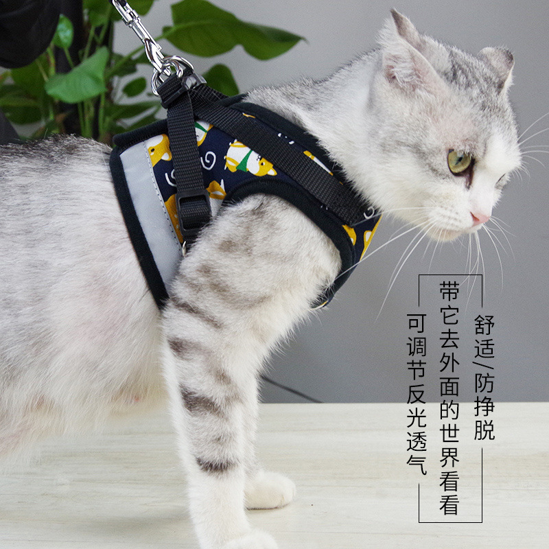3cc617eb-910d-419a-b7a1-ddeaa2c4801c.jpg