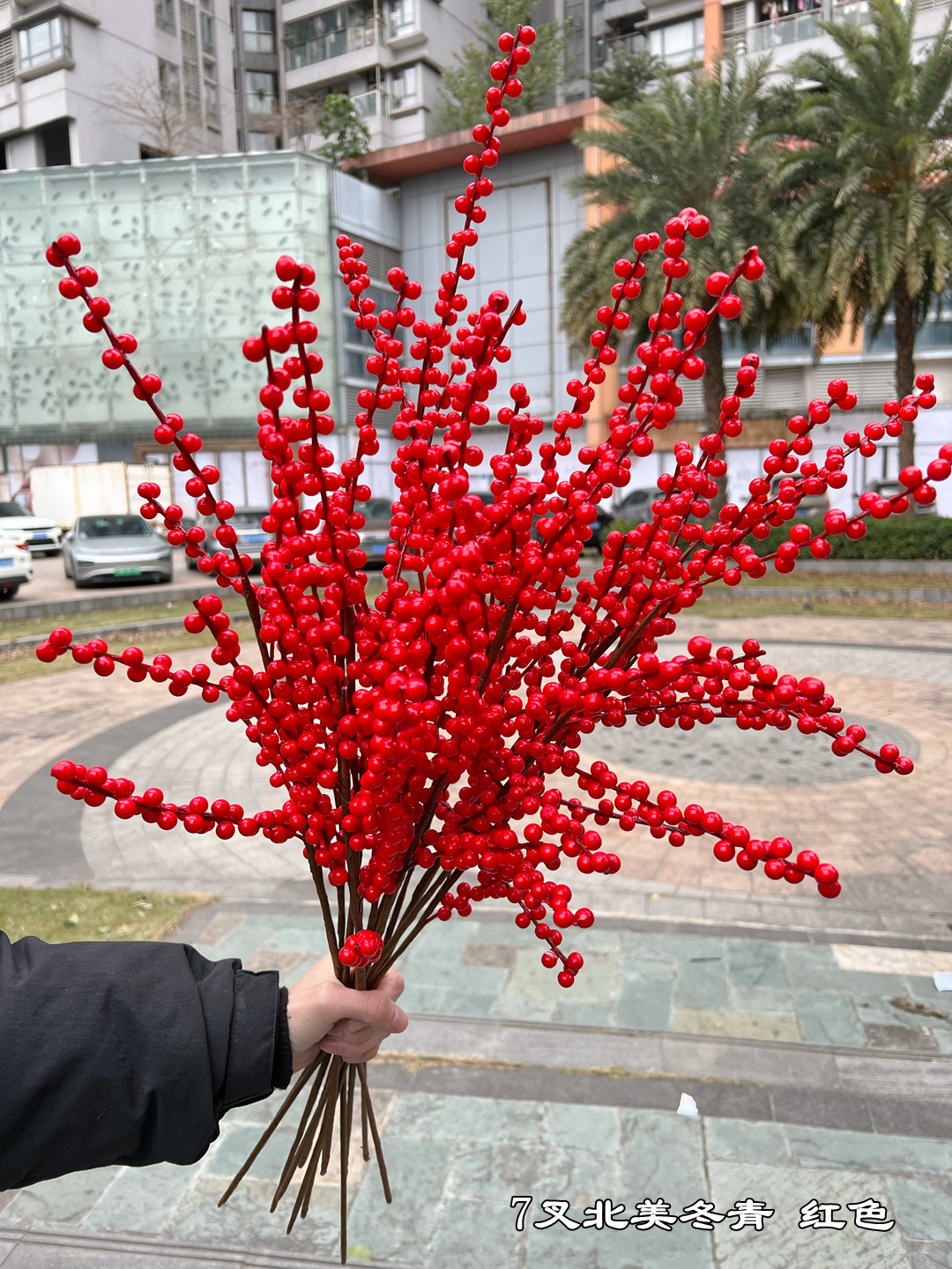 微信图片_20240127173519