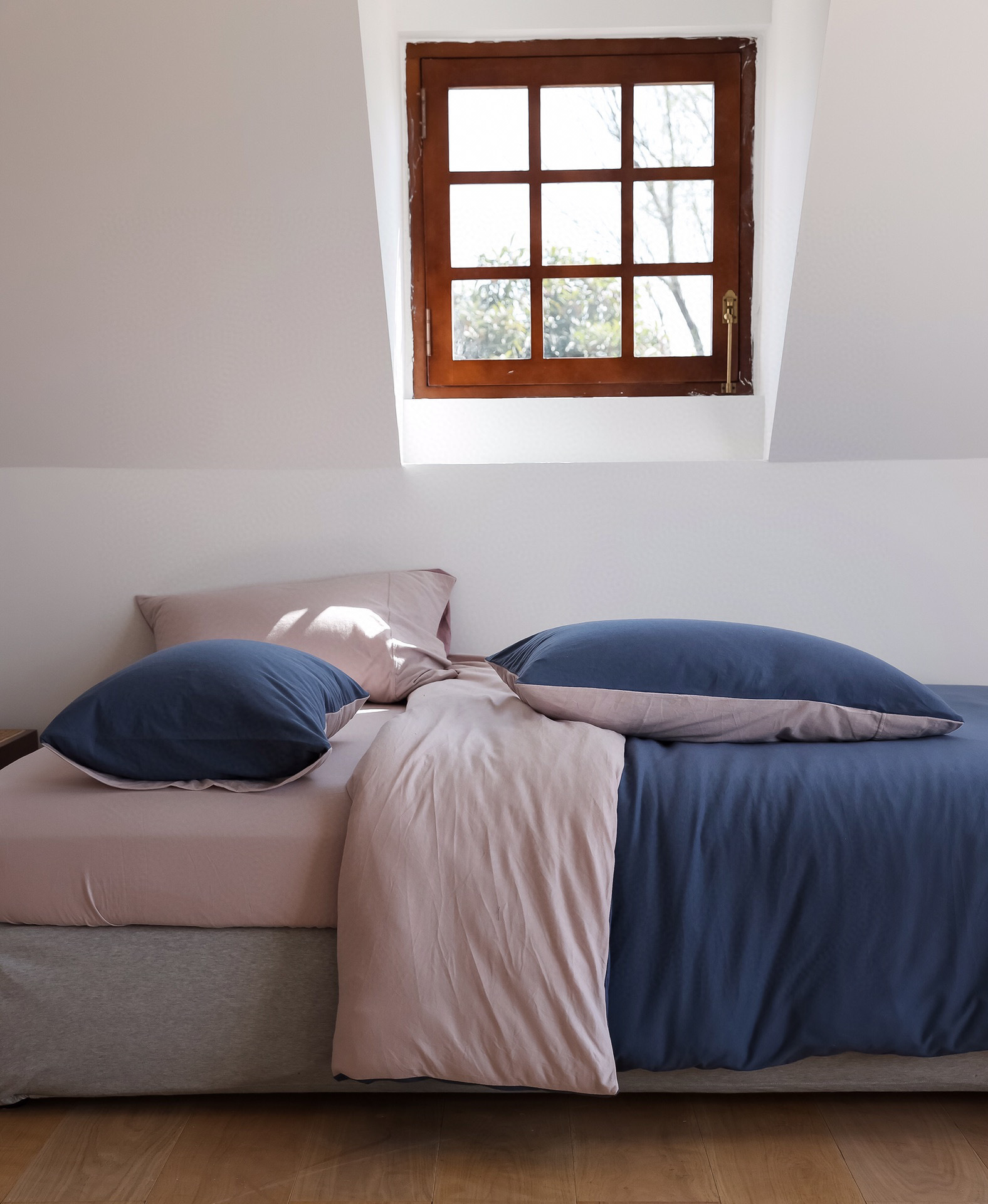 2022-11-22 172320(1).jpg