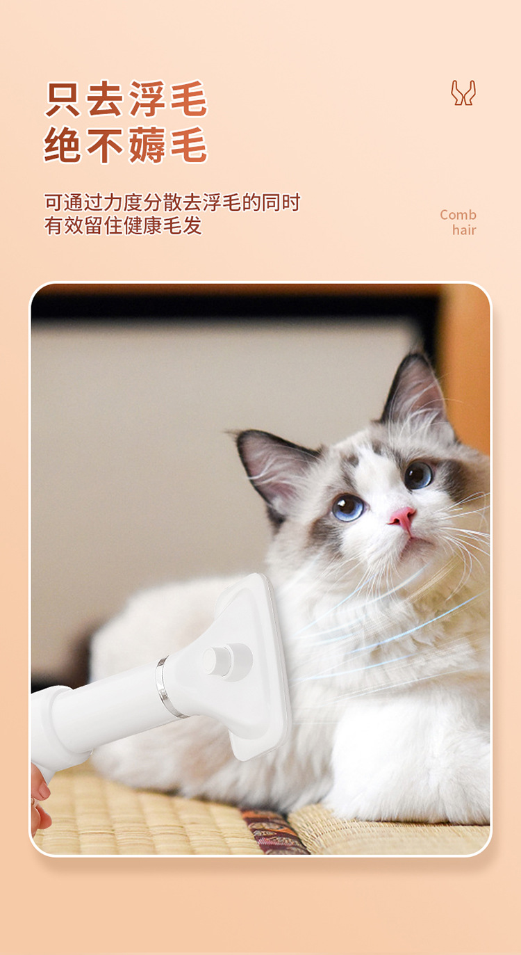 宠物吹毛器-拷贝_09.jpg