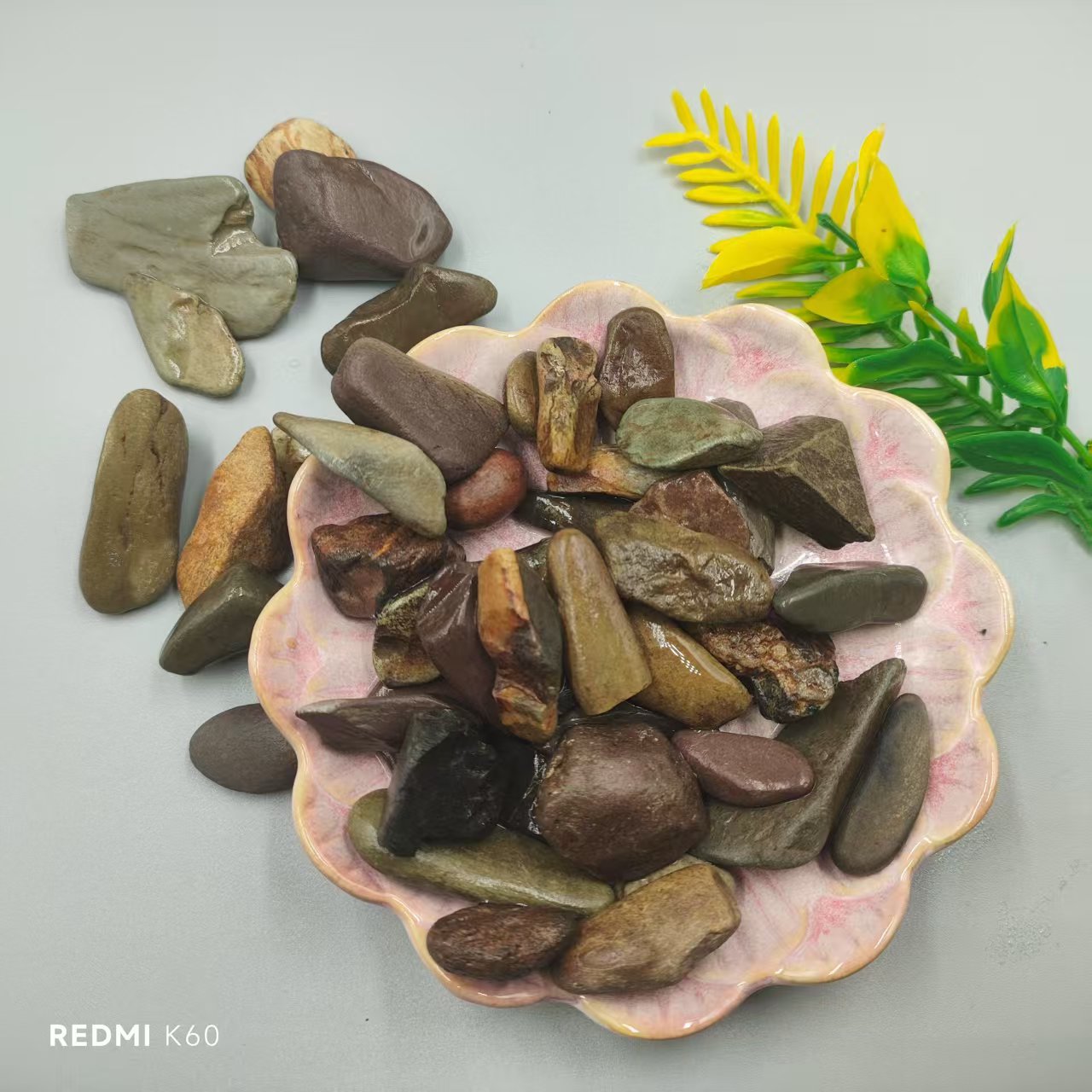 48dc22c324fc6f28b7a53aa8e2d758