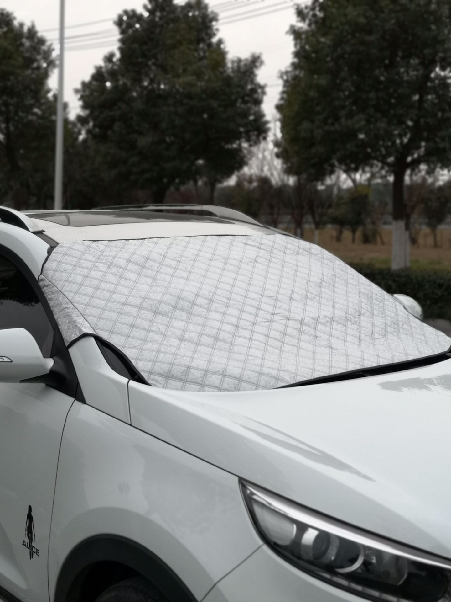 产品照片（原图）IMG_20190224_153303