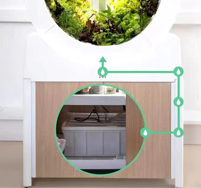 e8dac22d-8ccb-4954-a779-d44230