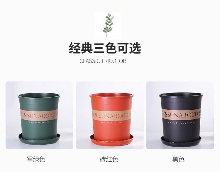 12e81618-197f-4e41-8552-4dcb1d37ac9b.jpe