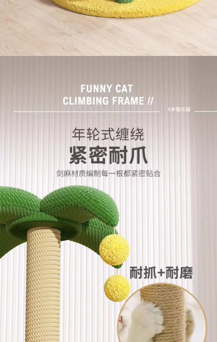 44e1d355-0e00-42a3-b707-40f766efdf48.jpe