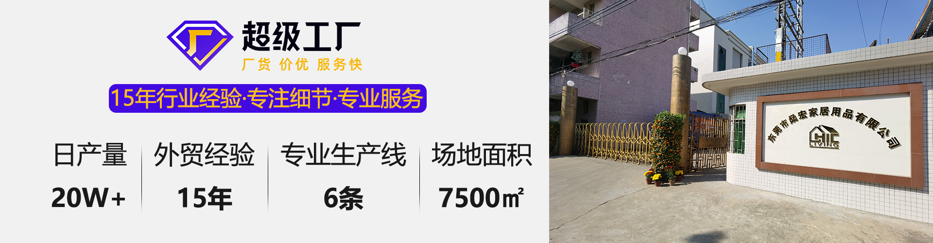 8478563.jpg