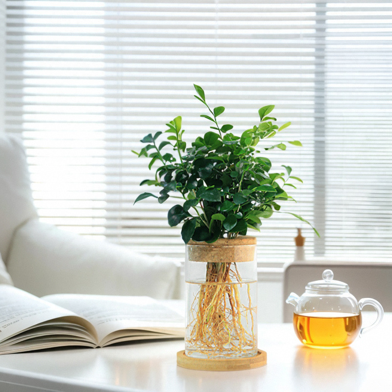 64d775f6-2462-4469-be64-e18d89ef37df.jpe