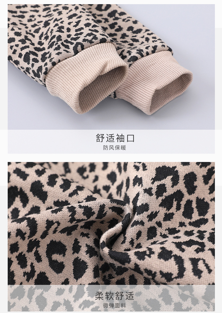 详情 (12)