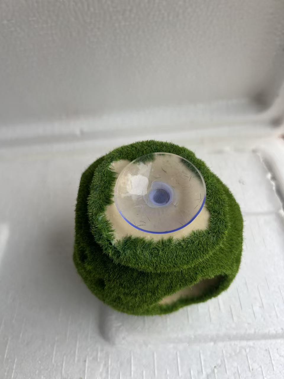 微信图片_20260118101321_184_159