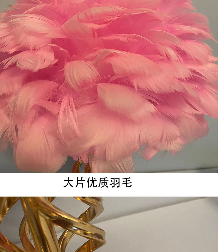 T6002羽毛台灯详情图_12.jpg