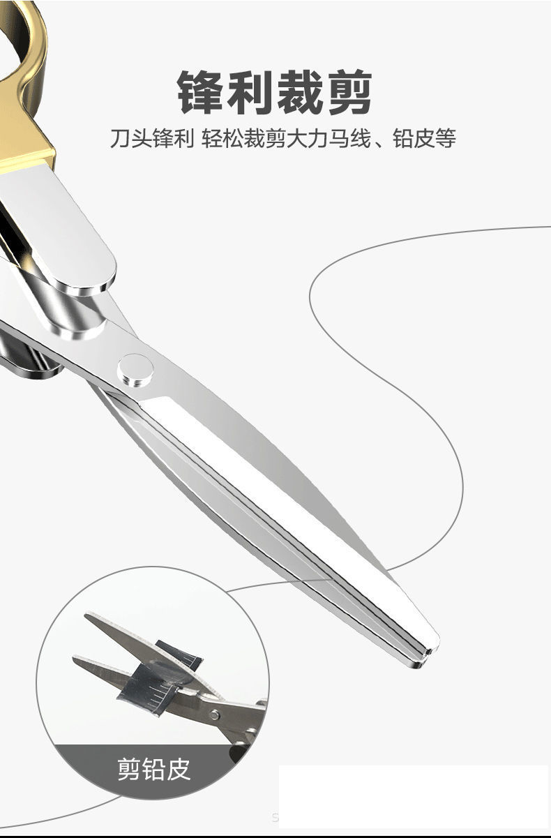 20317dba-dcbc-410d-baa2-a279b61d3a9a.jpe