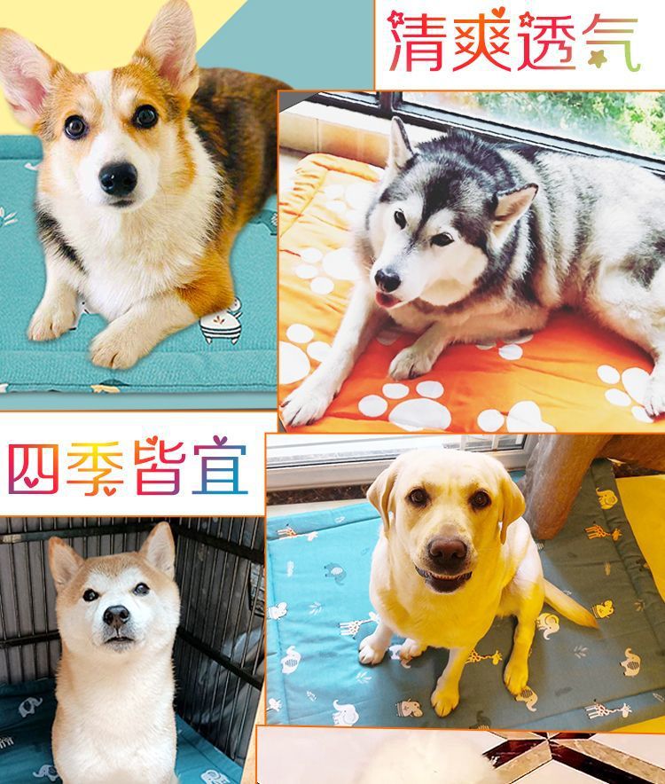 be8beb48-e7c6-4847-9488-8bfc2cf3b40c.jpe