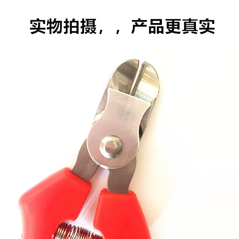 IMG_E9784_副本.jpg