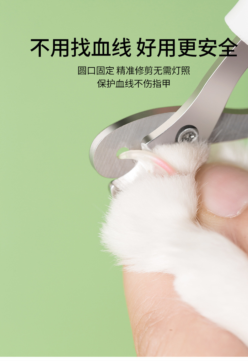 561e21a4-2b0f-4e2e-bbb5-5c70c4c7b229.jpe