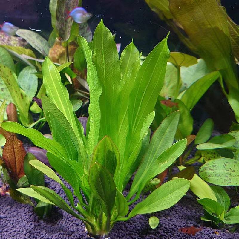 901f92e540ee0b9bddba79a9d2691c