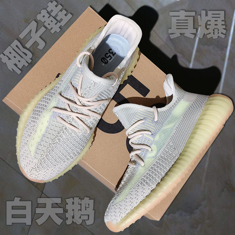 白天鹅