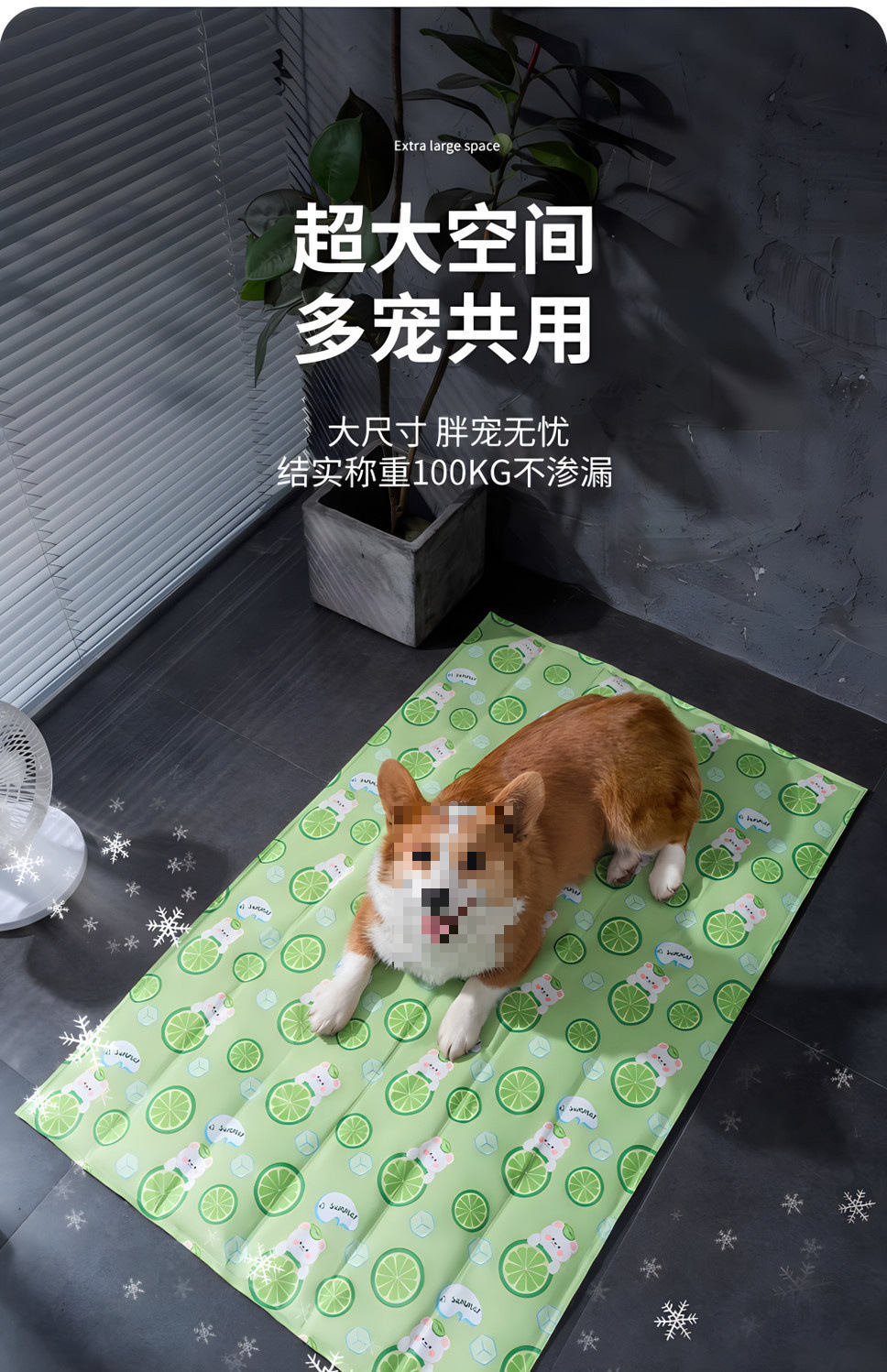 c9f3112f-46ca-4bb8-987e-2f65946ce912.png