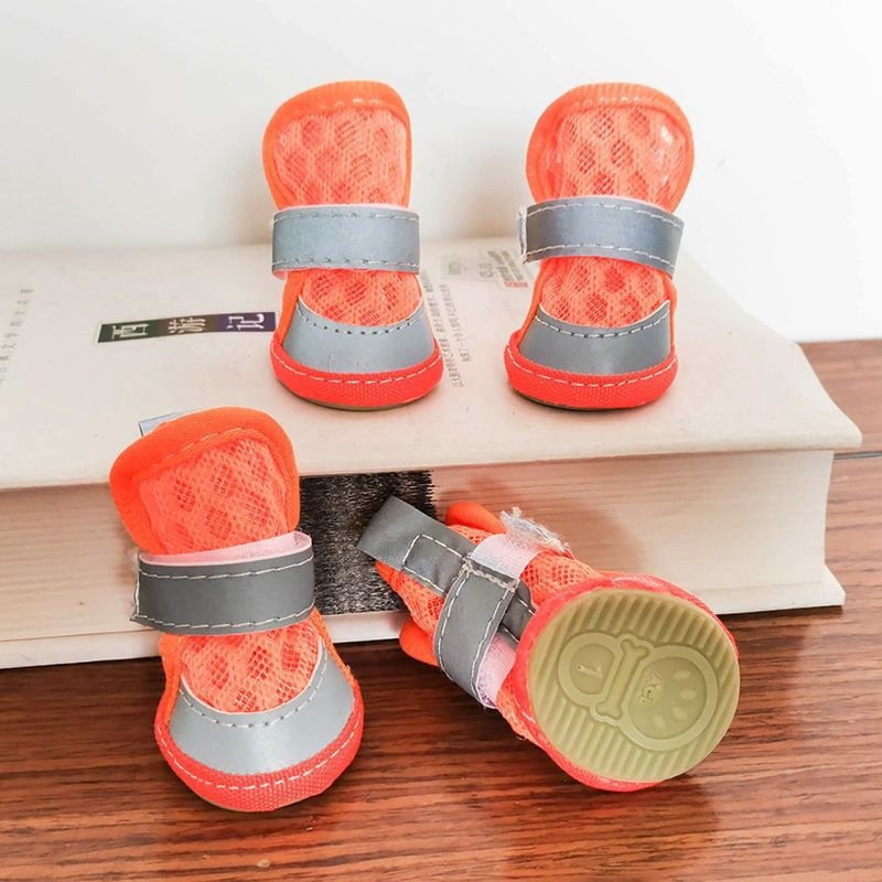 7bb1d531-0967-4544-b8a9-4bd9512b0f5e.jpe