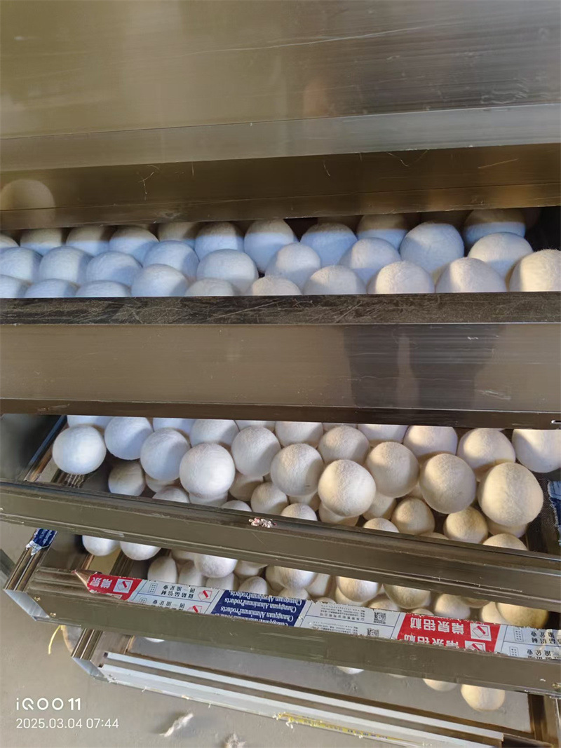 715791dd9445b73f9c0dca9fed51b8