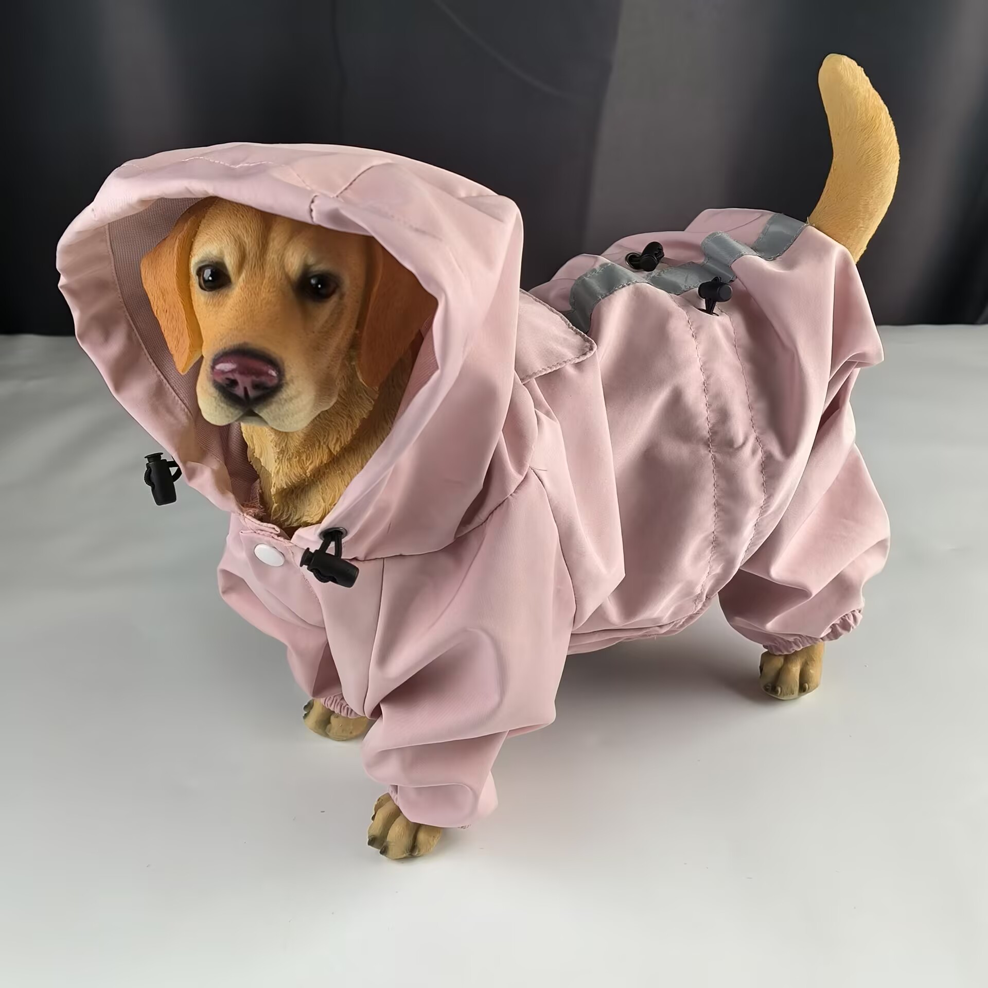 0F631766BD020633EE926C791D107B