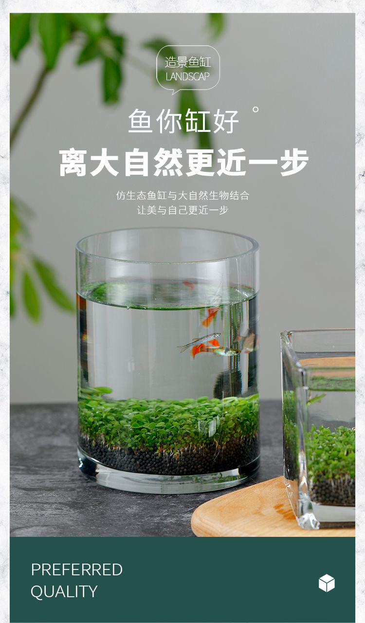 d721a7ed-678e-4f10-ba02-32021e71577b.jpe