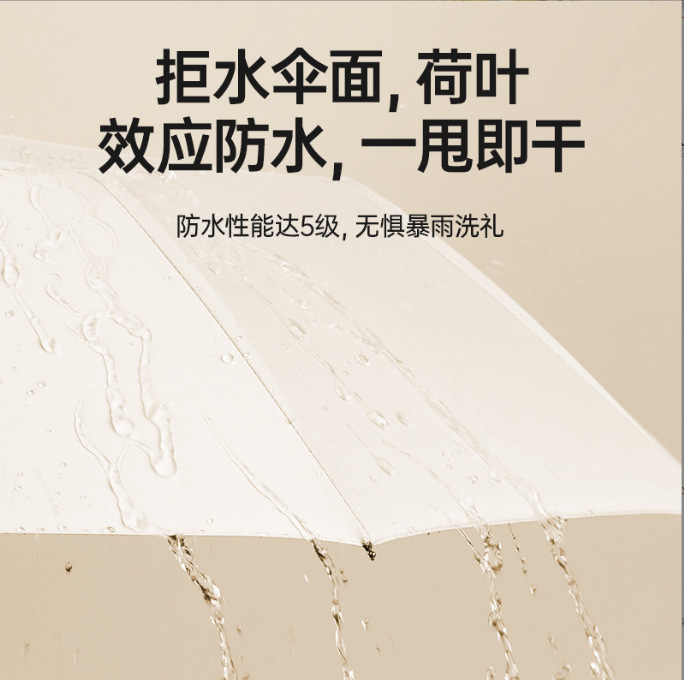 892详情 (11).jpg