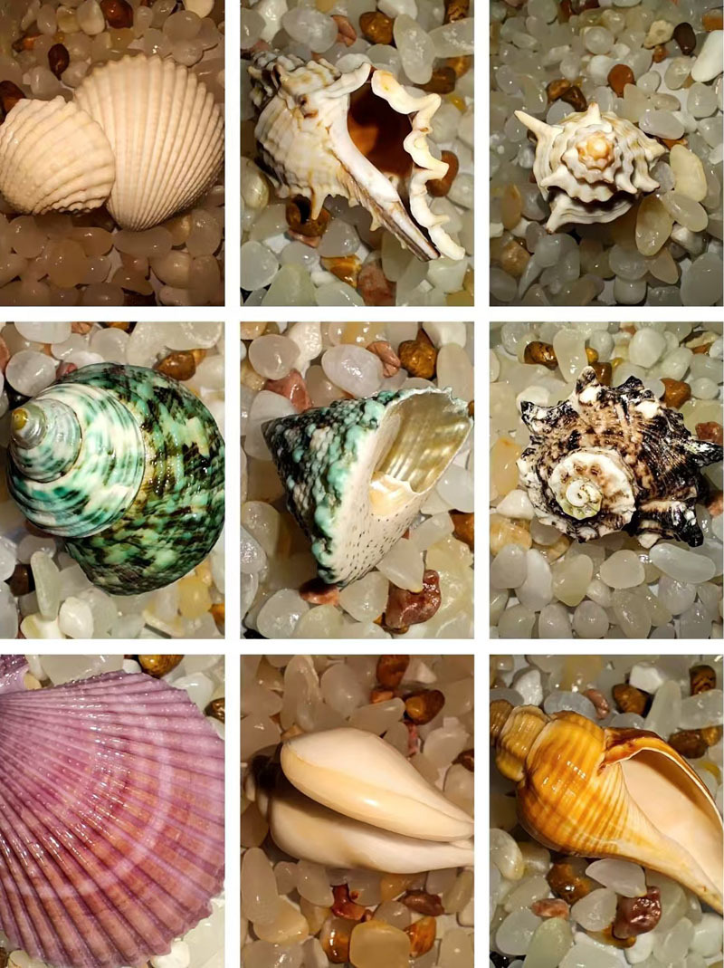 6个不重复详情4