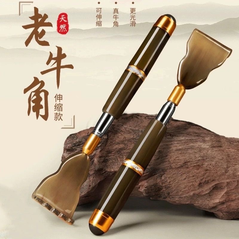 6304bd34-52c3-4301-aa75-f5db31f5a3a6.jpe
