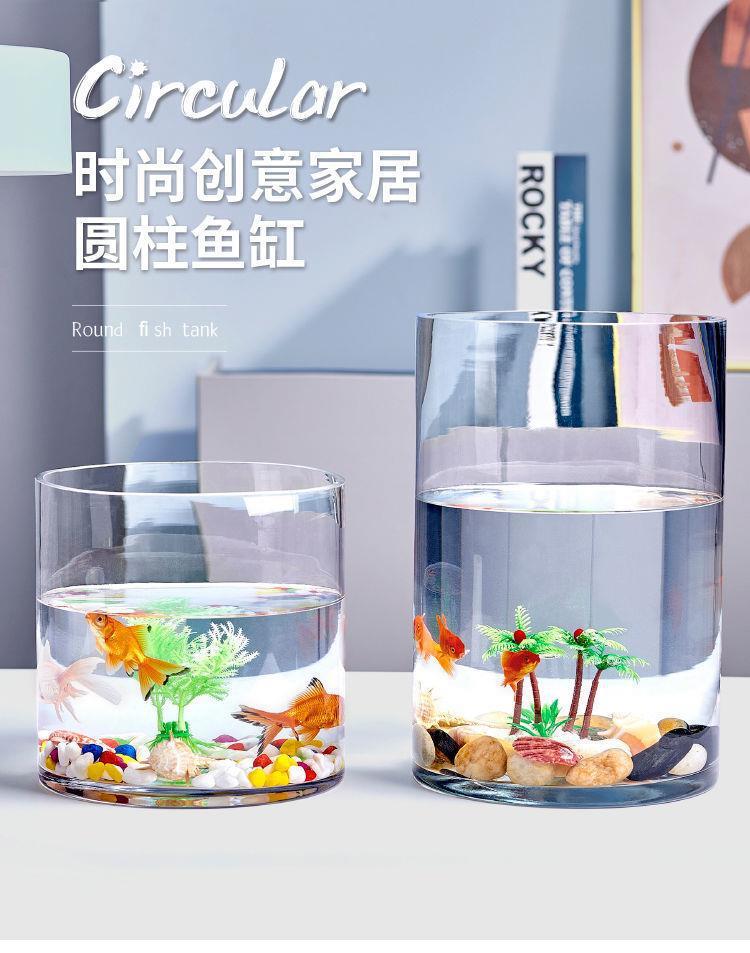 1df6028e-ef23-4d26-a538-dbdd8315deba.jpe