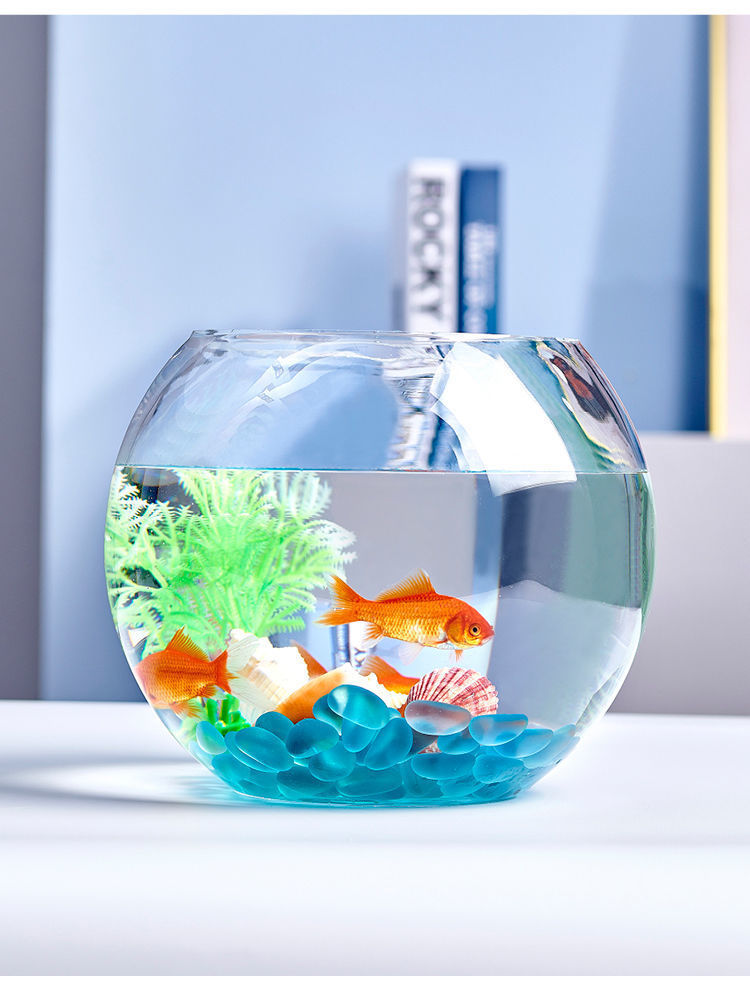 22d9d763-e3ba-40ef-b33c-1fe0ee04a0b8.jpe