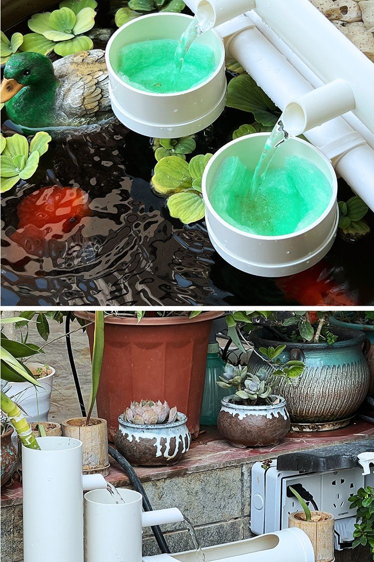 e49b6bb6-fbaf-4d18-a3d7-f6802585f077.jpe