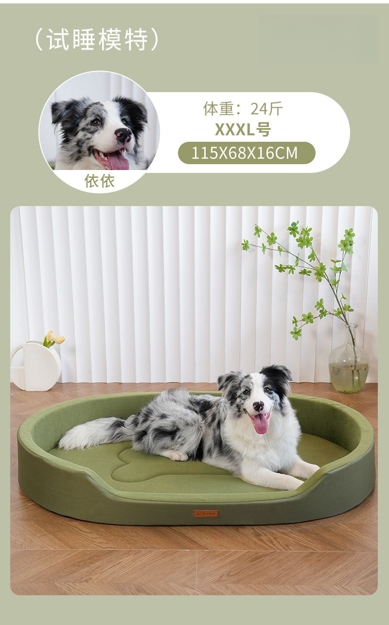 O1CN01H1pdjM1FYagjXnZWa_!!2219551010499-