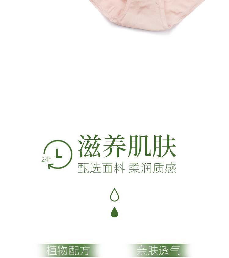 乳木果_05.jpg