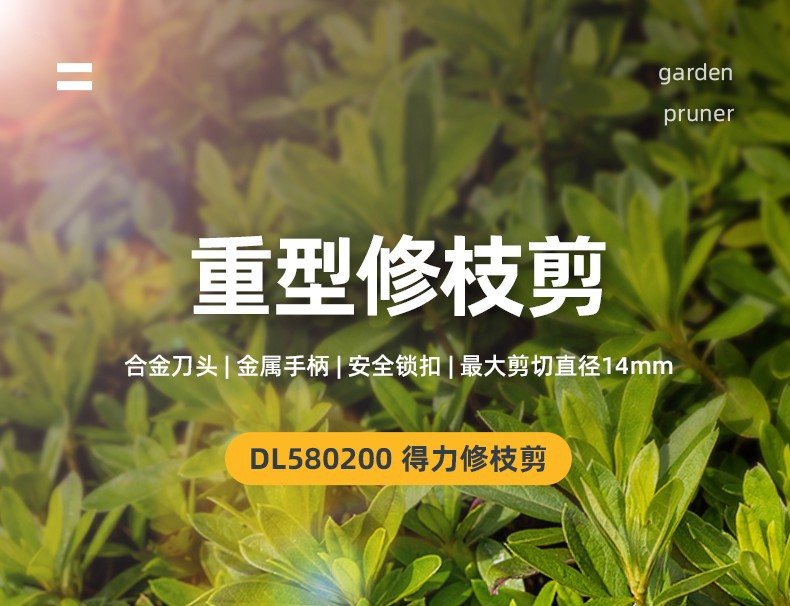 d86fa835ee4221e3.jpg