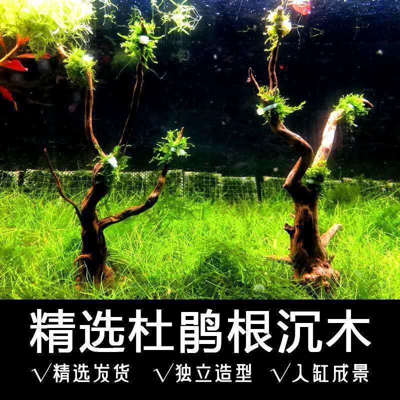 2b306aae-1f20-4c76-abcb-807e9103edd3.jpe