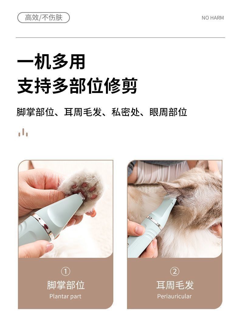 e834b939-e3e9-4377-b994-fc2375de4039.jpe