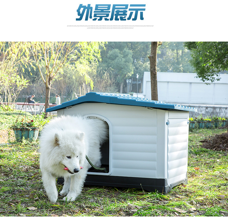 424狗窝_17.jpg