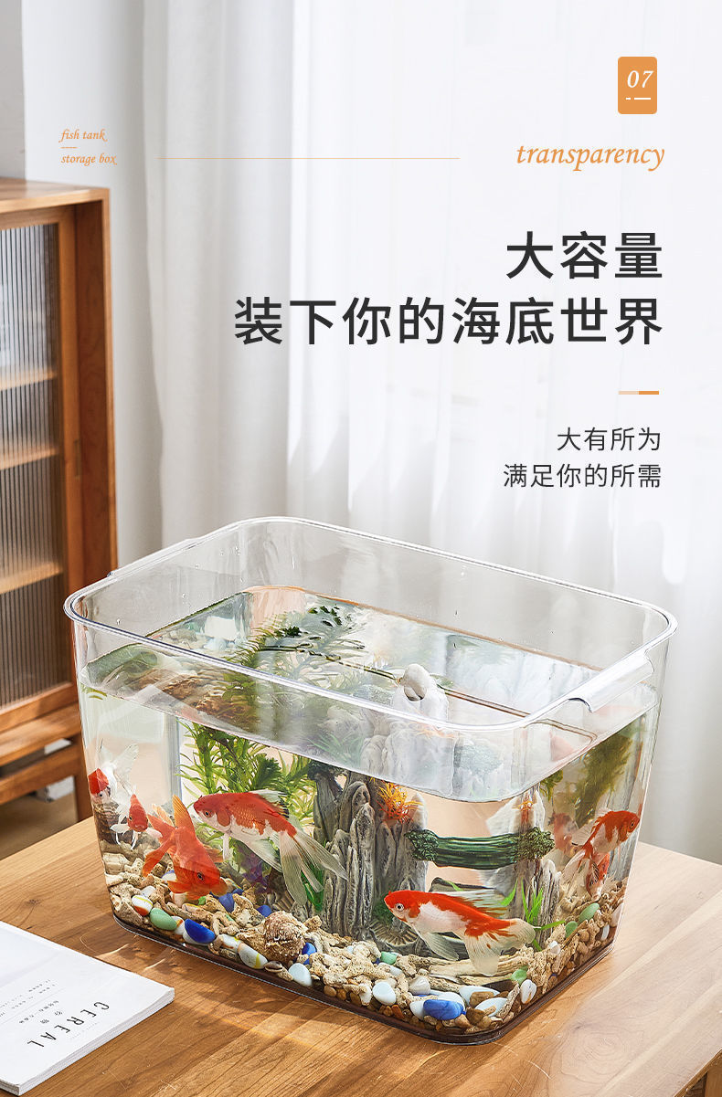 5264d188-98c2-4dd9-82d7-6c5d9941e085.jpe