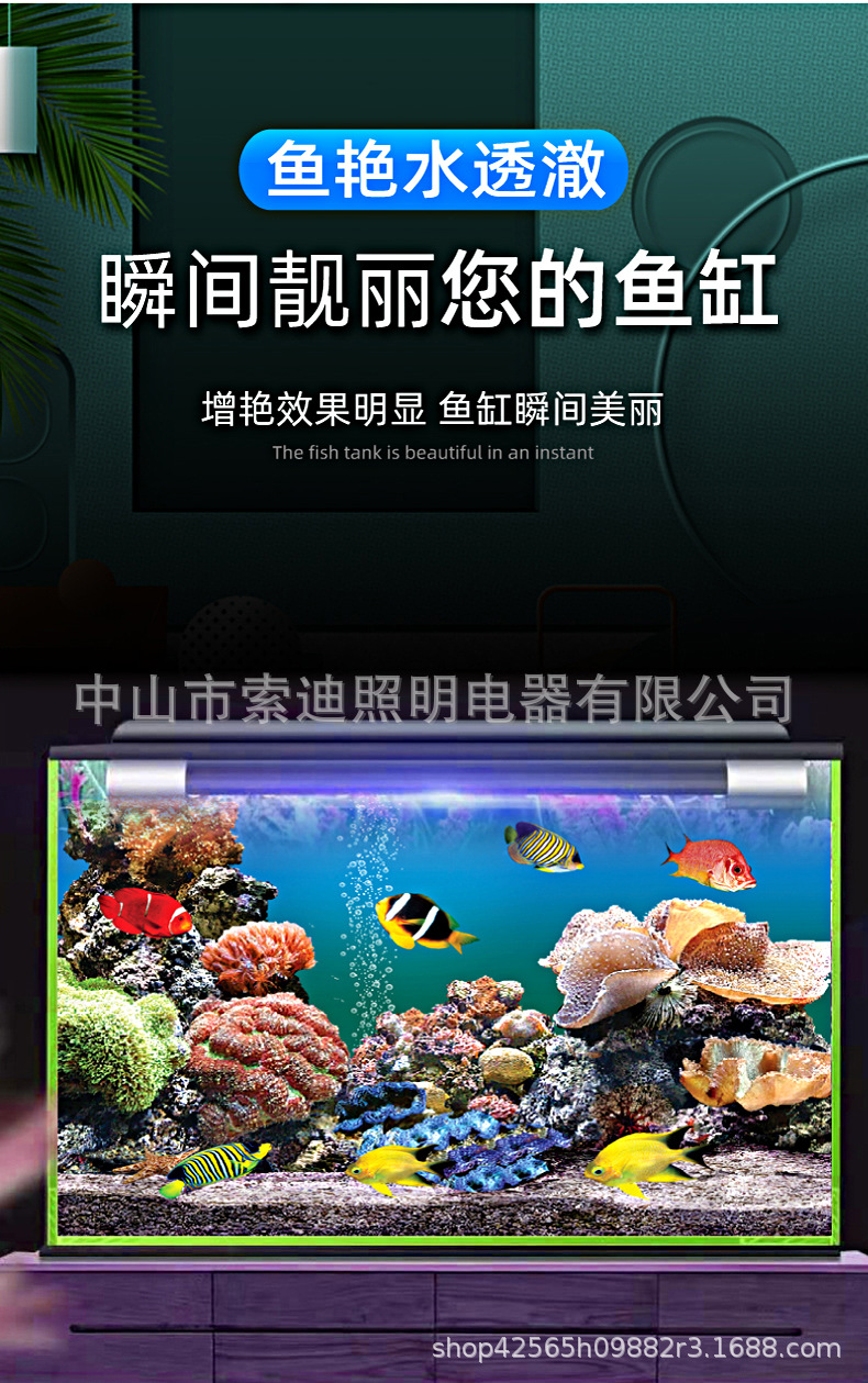 T8双排灯详情 6.jpg