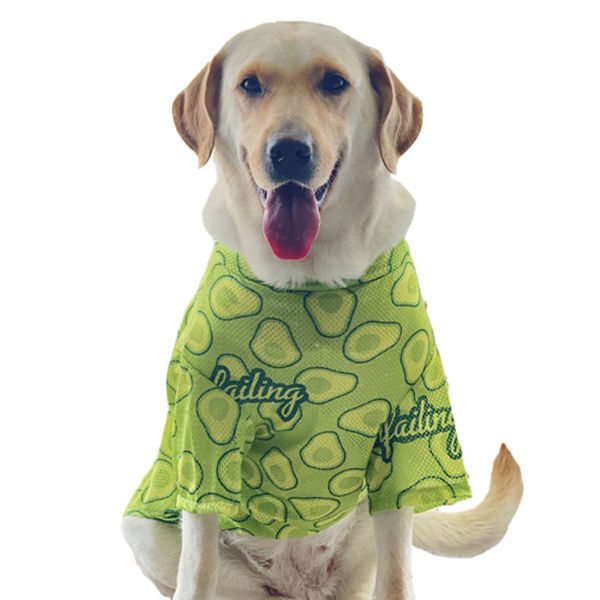 903a38a3-2c7d-49dc-9fe2-db758015eaf1.jpe