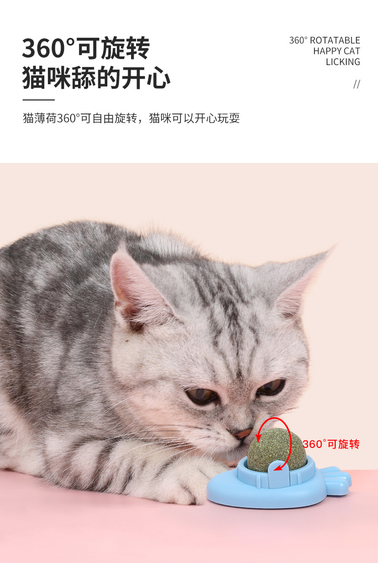 1_04.jpg