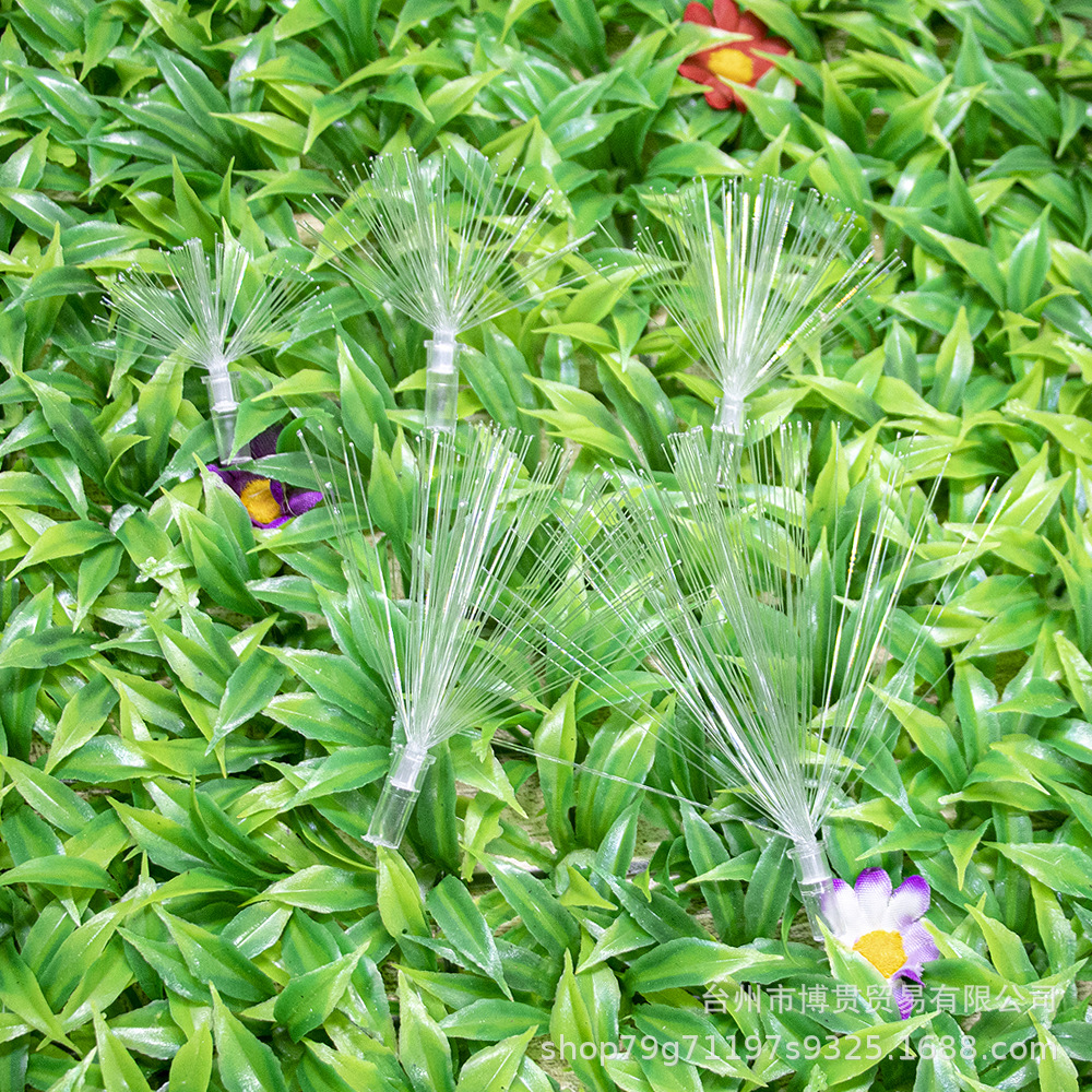 散开光纤 (1).jpg