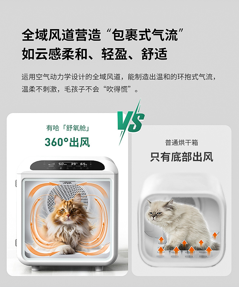 c37f46dd-aec5-463e-be7b-dfa2b941db49.jpe