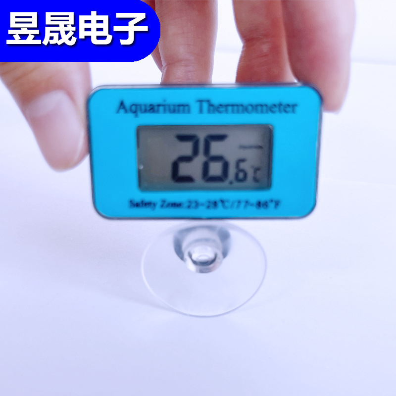 5555.jpg