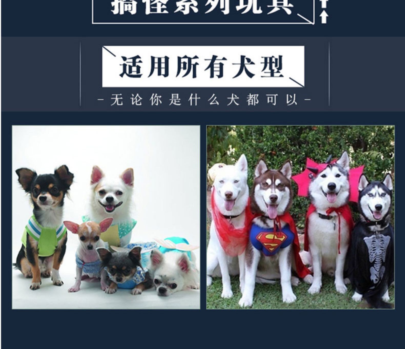 详情 (12).jpg